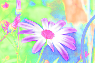TeensPhotoshop